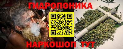 стаф Камышлов