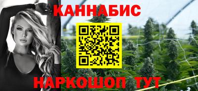 стаф Камышлов