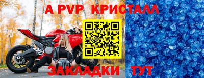 стаф Камышлов