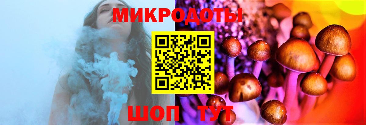 Псилоцибиновые грибы мицелий Людиново